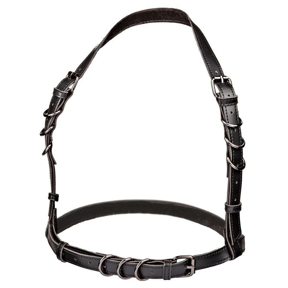 CalExotics Euphoria Collection Plus Size Halter Buckle Harness
