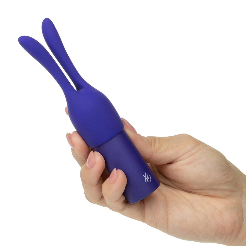 CalExotics Pleasure Kits Temptation Bullet Vibrator Collection