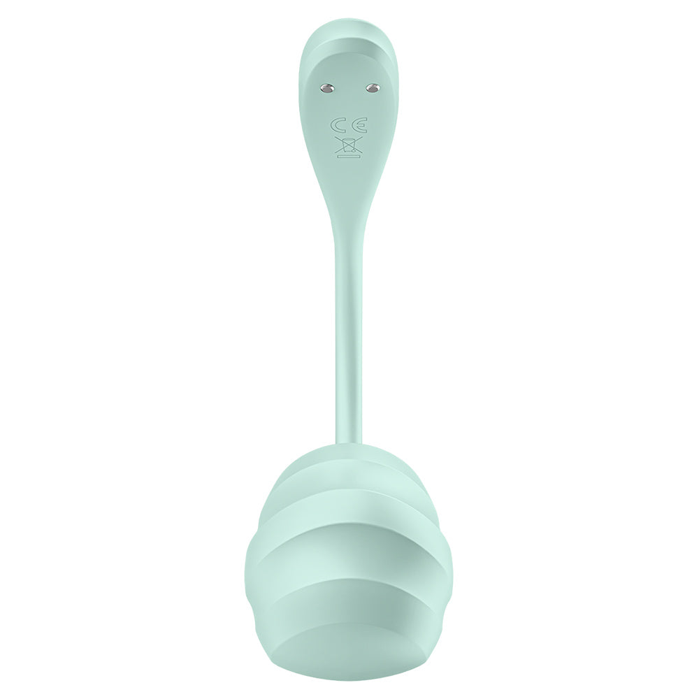 Satisfyer Smooth Petal Connect App Wearable Vibrator
