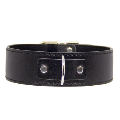 Love In Leather Faux Leather Unlined Collar and Lead