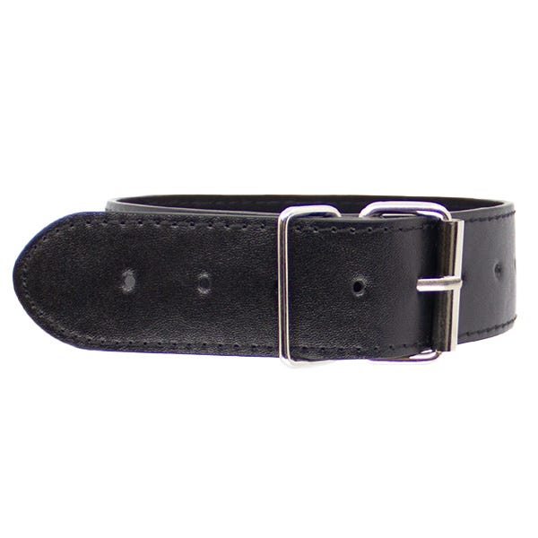 Love In Leather Faux Leather Unlined Collar and Lead