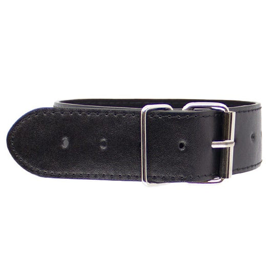 Love In Leather Faux Leather Unlined Collar and Lead