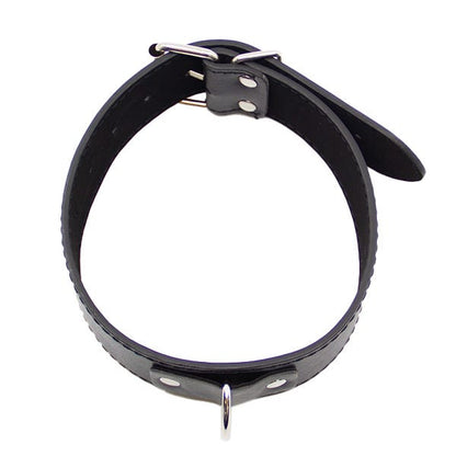 Love In Leather Faux Leather Unlined Collar and Lead
