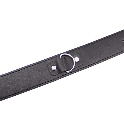 Love In Leather Faux Leather Unlined Collar and Lead