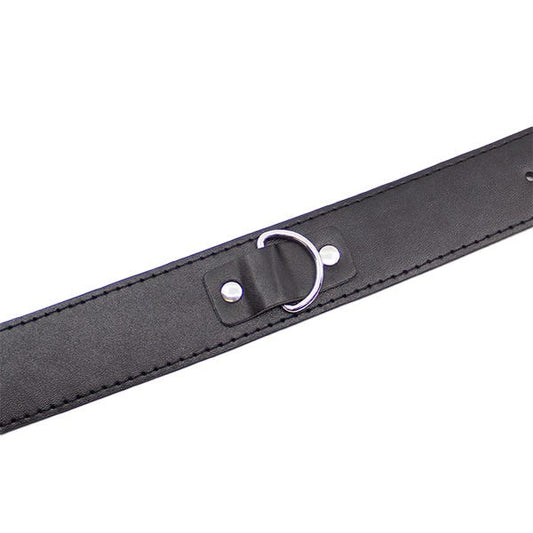 Love In Leather Faux Leather Unlined Collar and Lead