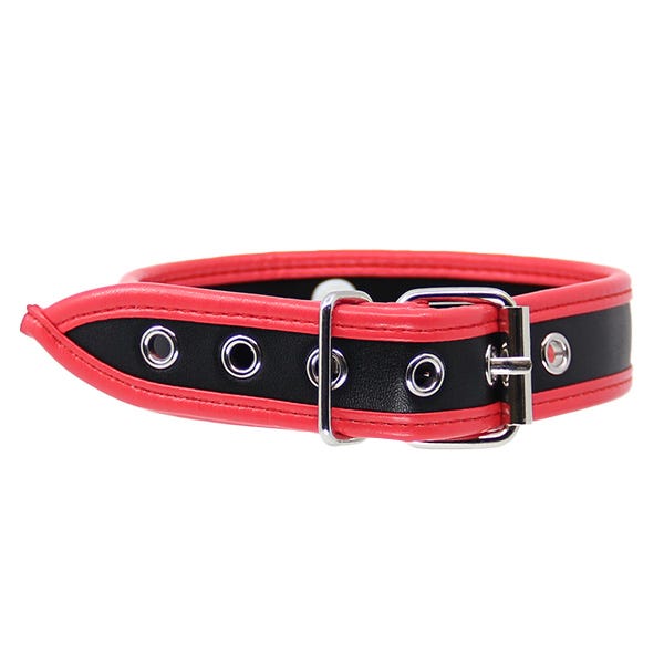 Love In Leather Padded Faux Leather Collar