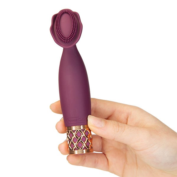 Pillow Talk Secrets Passion Massager Vibrator