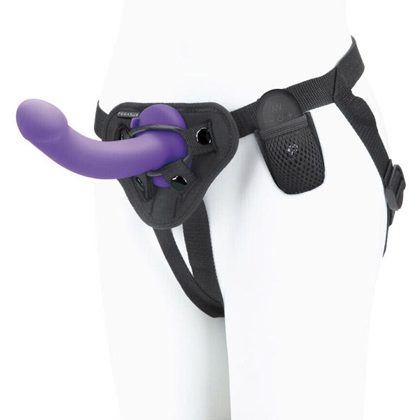 Pegasus 6-inch RC Curved Realistic and Harness