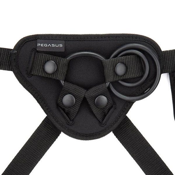 Pegasus 6-inch RC Curved Realistic and Harness