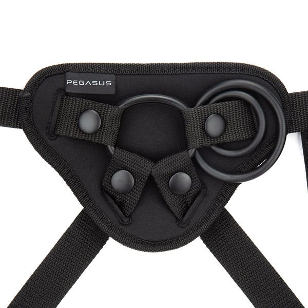 Pegasus 6in RC Curved Ripple + Harness