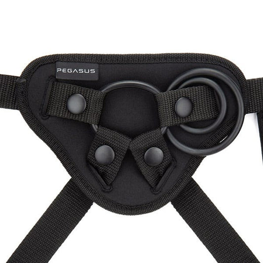 Pegasus 6in RC Curved Ripple + Harness