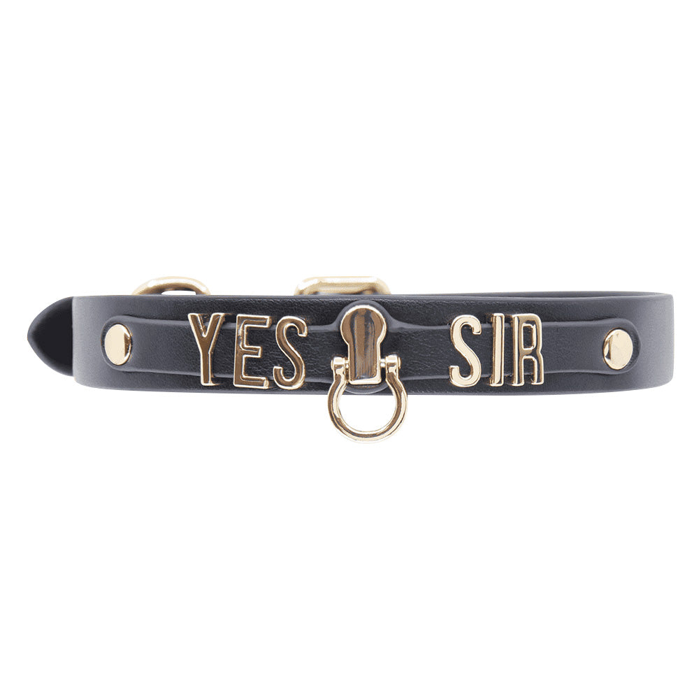 Love In Leather Yes Sir Collar