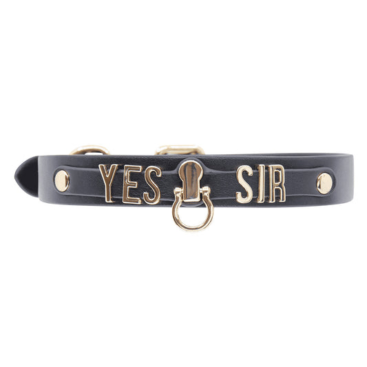 Love In Leather Yes Sir Collar