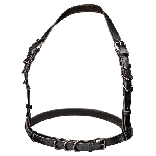 CalExotics Euphoria Collection Plus Size Halter Buckle Harness