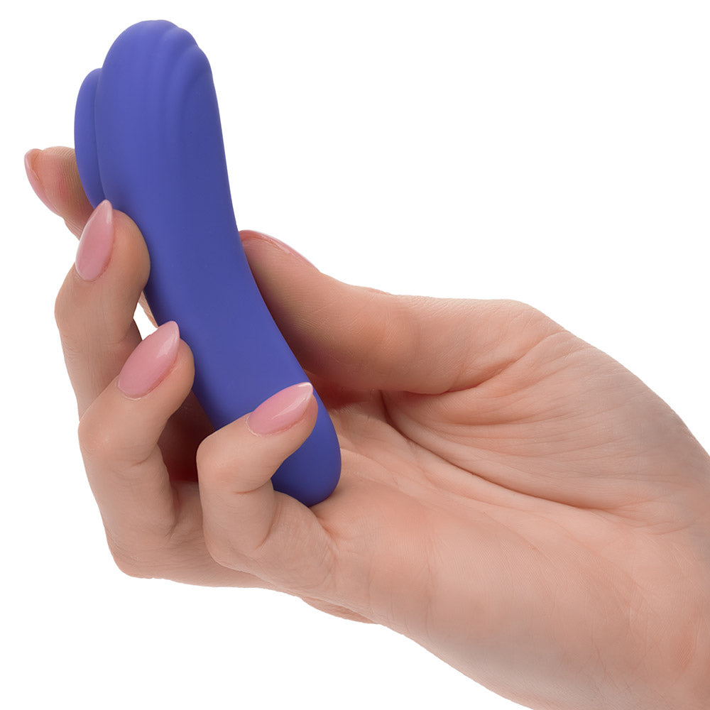 CalExotics App Controlled Connect Panty Teaser