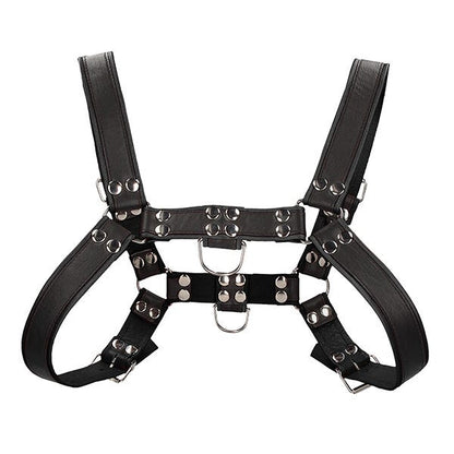 Ouch Chest Bonded Leather Bulldog Harness