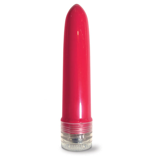 Pleasure Package I Didn't Know Your Size Multi Speed Vibrator