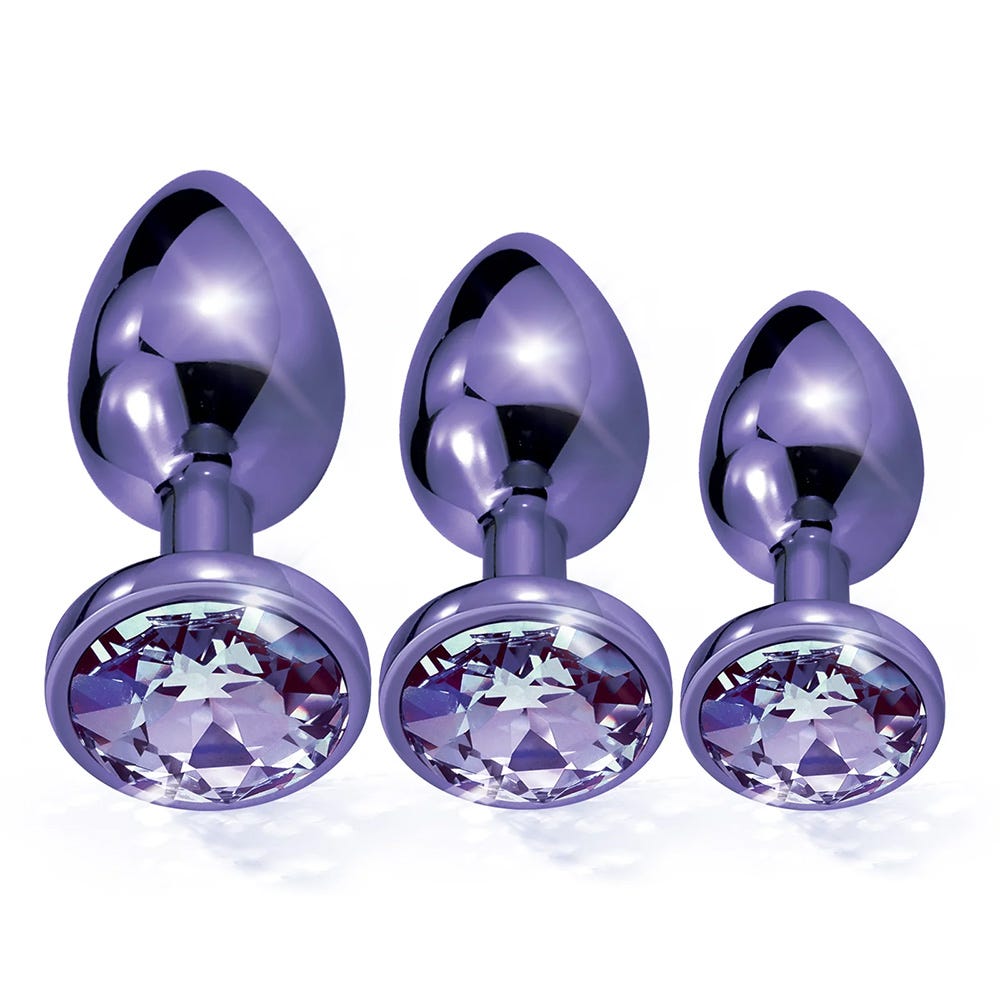 Nixie Metal Butt Plug Trainer Set - Purple