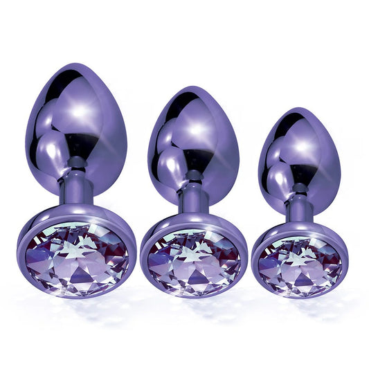 Nixie Metal Butt Plug Trainer Set - Purple