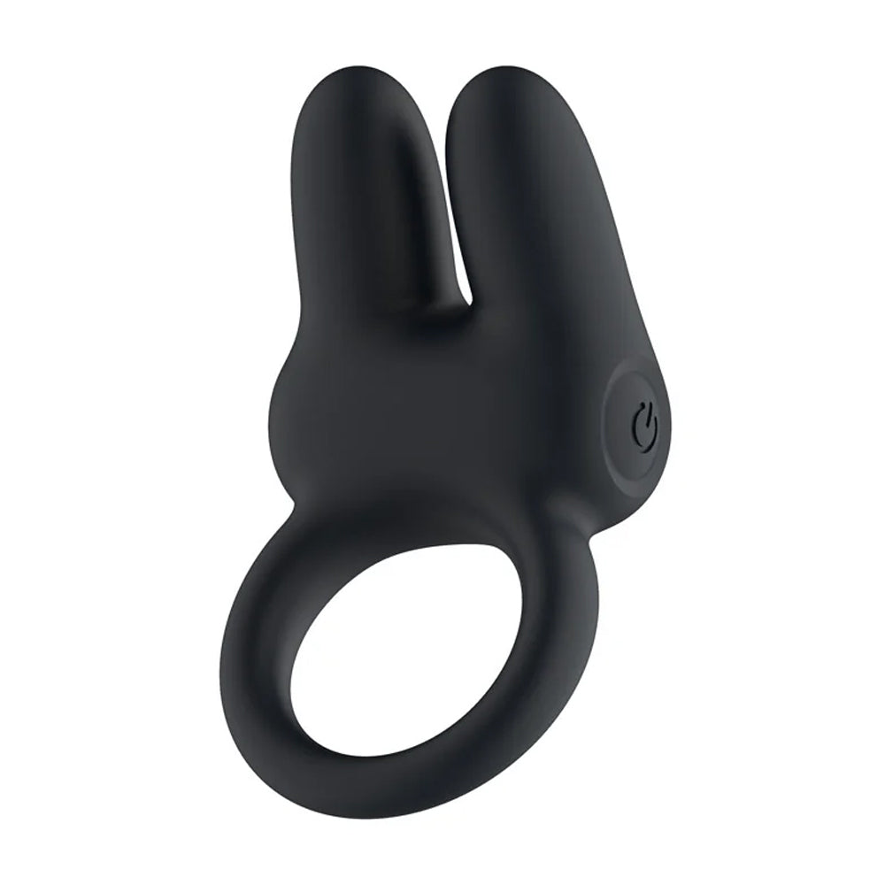 Passion Play Dual Motors Vibrating Cock Ring
