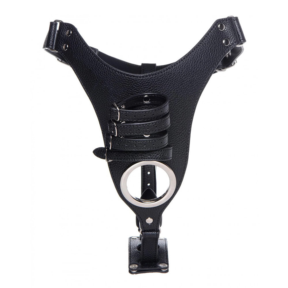 Strict Male Chastity Harness with Silicone Anal Plug