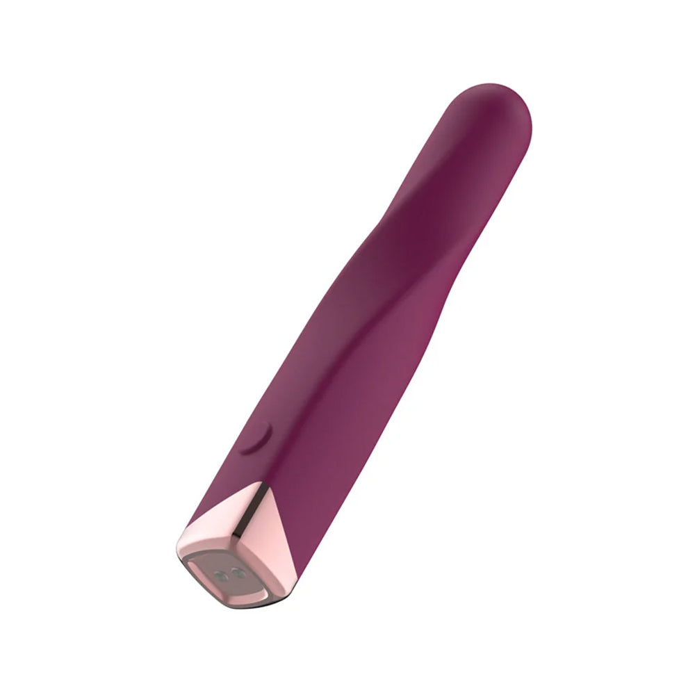 Passion Play Rechargeable Vibrating Bullet