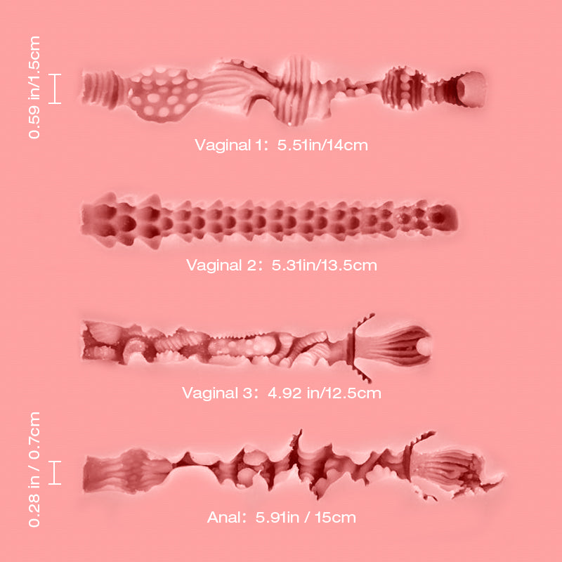 Tantaly Lina Internal measurements