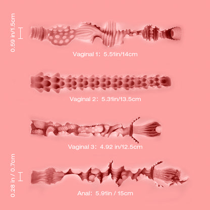 Tantaly Lina Internal measurements