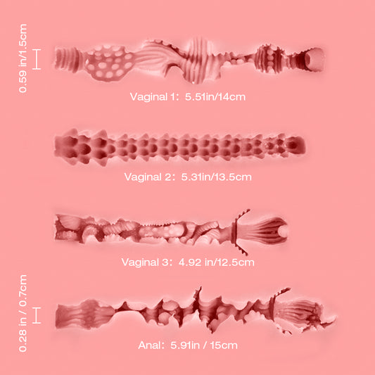Tantaly Lina Internal measurements