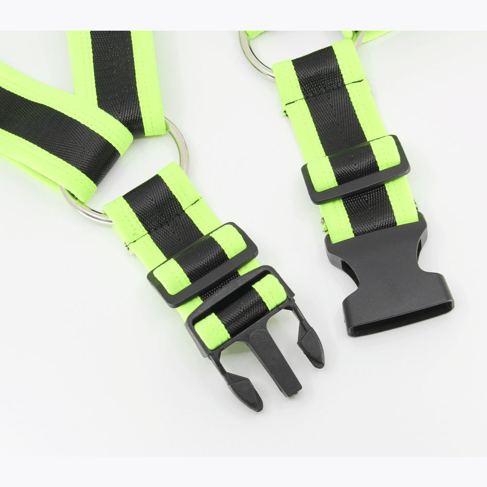 Love In Leather Bulldog Brace