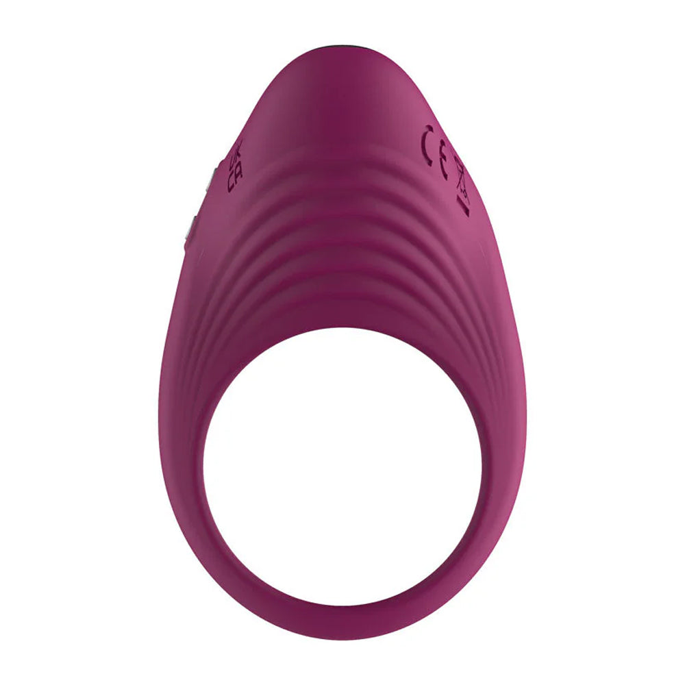Passion Play Silicone Vibrating Ribbed Cock Ring