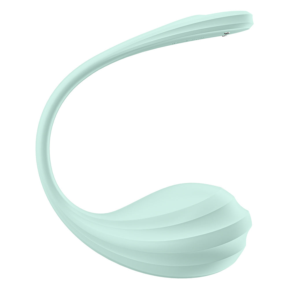 Satisfyer Smooth Petal Connect App Wearable Vibrator