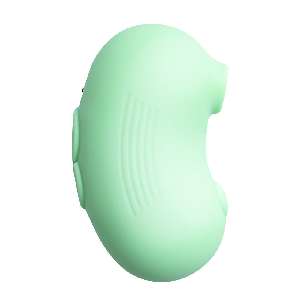 Pcock Leyla Accessible Air Pulse Vibrator